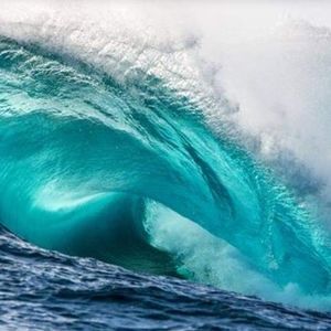 Meet your Posher, Rg